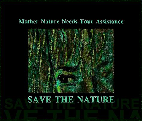 Save The Nature Free Stock Photo Public Domain Pictures