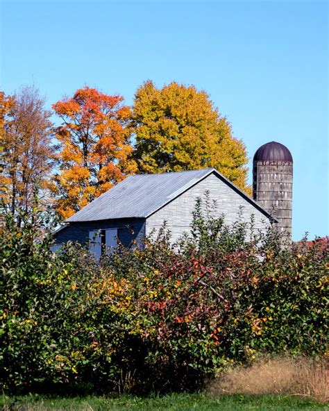 Old Rustic Barn Surrounded By Fall Foliage Stock Photo - Image of ...