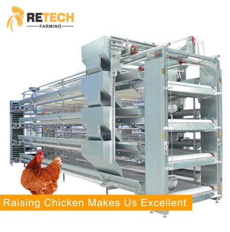 H Type Automatic Poultry Layer Chicken Cages System China Chicken