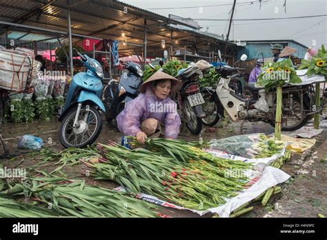 Selling Flowers In The Rain Quang Ba Flower Market Hanoi Vietnam