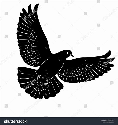 Dove Isolated Illustration Black White Drawing Stock Vector (Royalty ...