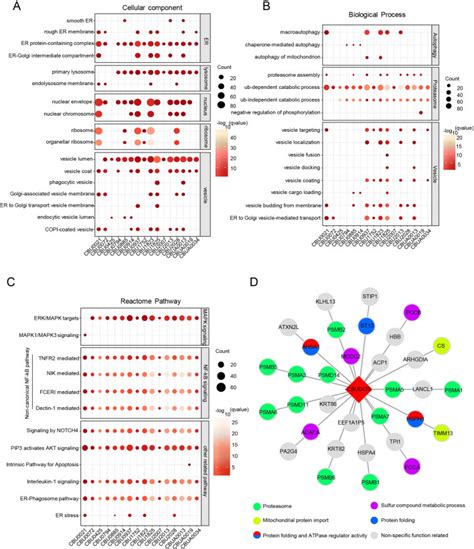 A Protein Protein Interaction Map Reveals That The Cytoscape