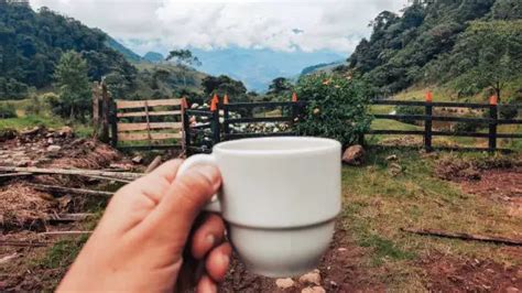 O que fazer em Jardín na Colômbia Guia de viagem completo