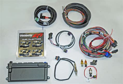 Holley Dominator Efi Wiring