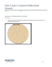 Unit 5 Lab 1 Control Of Microbial Growth Lab Write Up1 Docx Unit 5