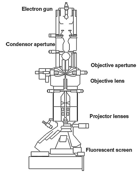 Transmission Electron Microscope Circuit Diagram Electron Tr