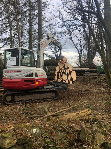 Tree Work And Forestry Perthshire Scotland Central Forestry