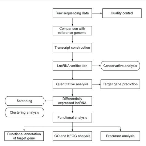 The Procedures Of Exosomal Lncrna Sequencing And Bioinformatics