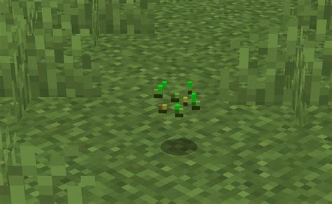 Grass Block In Minecraft