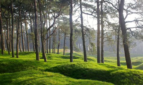 World Porn Lisa Wooten