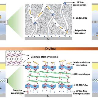 Electrochemical Performance Of The Lis Batteries With A B D Mofco