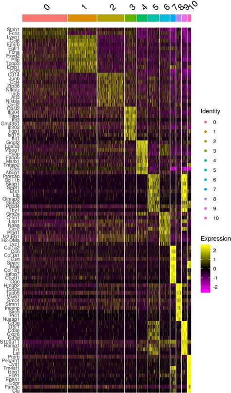 Differential Gene Expression Analysis Of ScRNA Seq Of CD45 Cells From