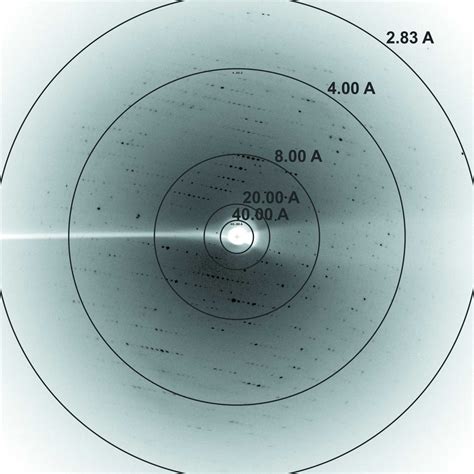 Iucr Expression Purification Crystallization And Preliminary X Ray