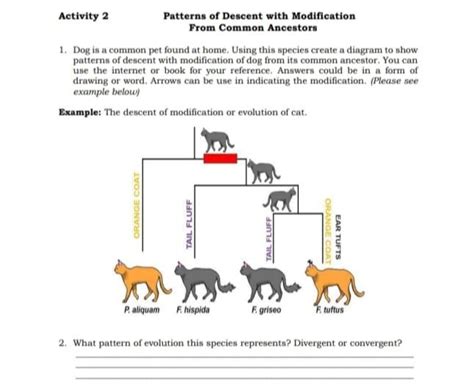 Solved Activity Patterns Of Descent With Modification From Chegg