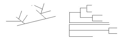 Phylogenetic Tree Or An Evolutionary Tree An Overview