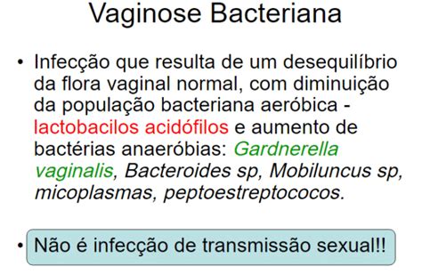 Rem Dios Caseiros Para Curar Vaginose Bacteriana Educar Sa De