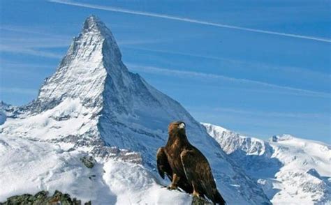 Wilde Alpen Winterwelt Jetzt Aufnehmen