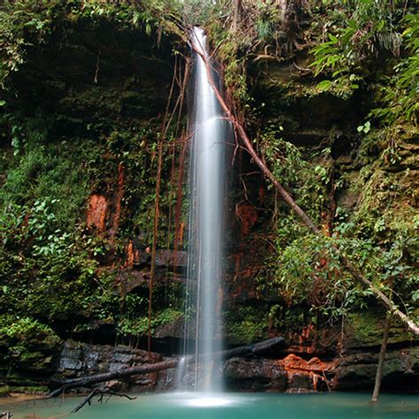 Lambir Hills National Park Sarawak Forestry Corporation