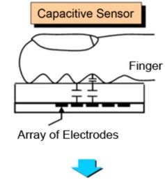 4 Types Of Fingerprint Scanners Deep Dive Into How They Work ClockIt