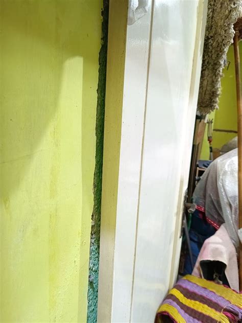 Daun Pintu Kayu Kamper Putih Tanpa Kusen Ukuran 70x210x4 Bahan Bangunan