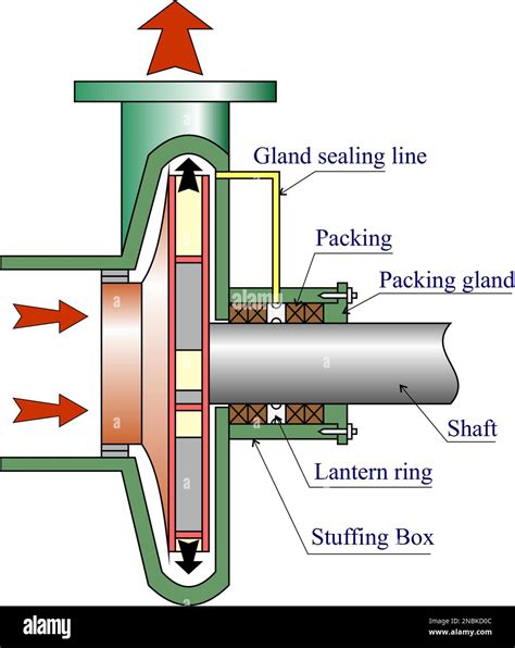 D Tails De La Pompe Centrifuge Image Vectorielle Stock Alamy