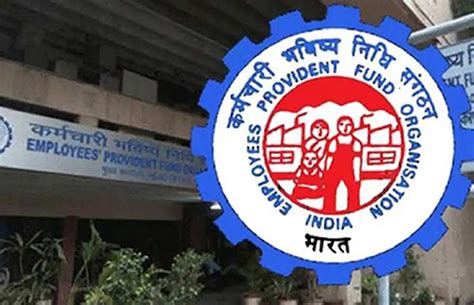 Epfo How To Update Bank Account Details In Epf Account The Hindu