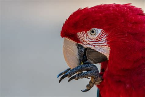 Der Start Unserer Zweiten Fotoreise Durch Brasilien Benny Rebel