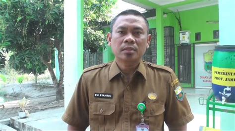 Sempat Mereda Kabut Asap Di Muaro Jambi Kini Kembali Pekat