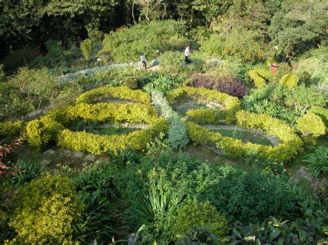 蝴蝶園嘉道理農場暨植物園