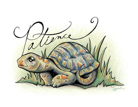 Inspirational Animal TORTOISE Drawing by Sipporah Art and Illustration ...