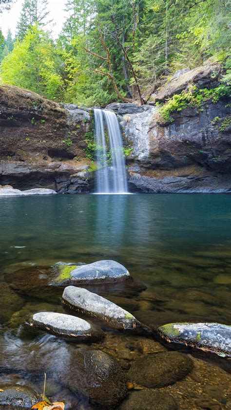 Fondos De Pantalla De Paisajes Si Te Gusta La Vida Natural Y Los