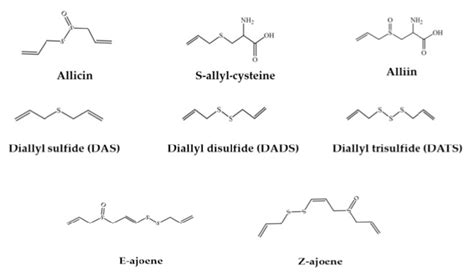 Chemical Structure Of Garlic Organosulfur Compounds Reconstructed From