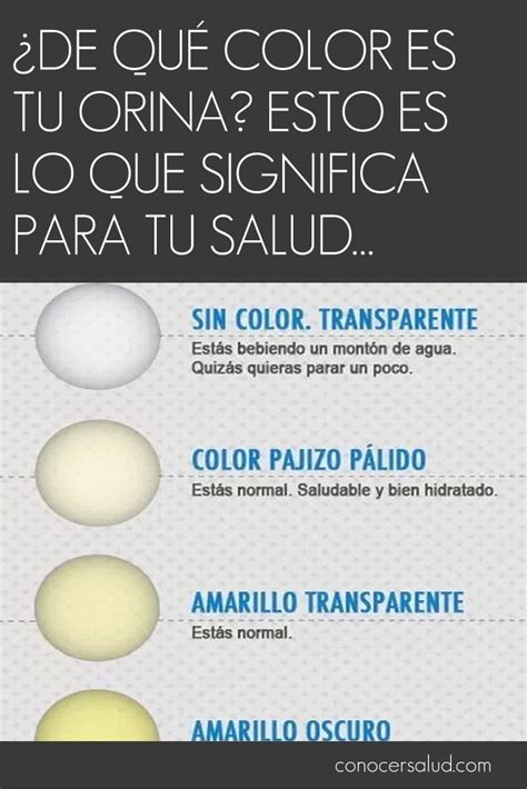 De Qu Color Es Tu Orina Esto Es Lo Que Significa Para Tu Salud