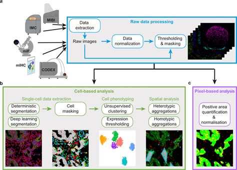 Schematics Of The Simpli Workflow A Raw Images Are Extracted From Imc