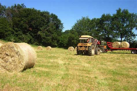 La Ferme Des Cochons D Or Le Rouget Pers Cantal