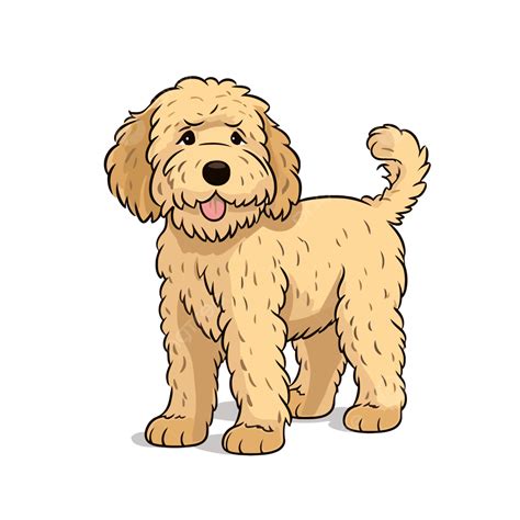 Goldendoodle Clipart Image For Cartoon Character, 44% OFF