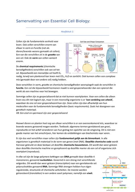 ECB H1 Samenvatting Essential Cell Biology Samenvatting Van