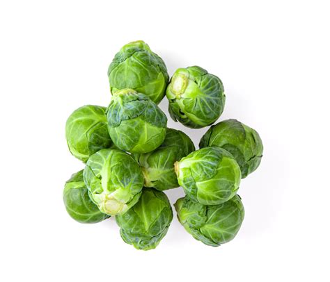 Informed Agricultural Decisions Brussel Sprouts Biological Input