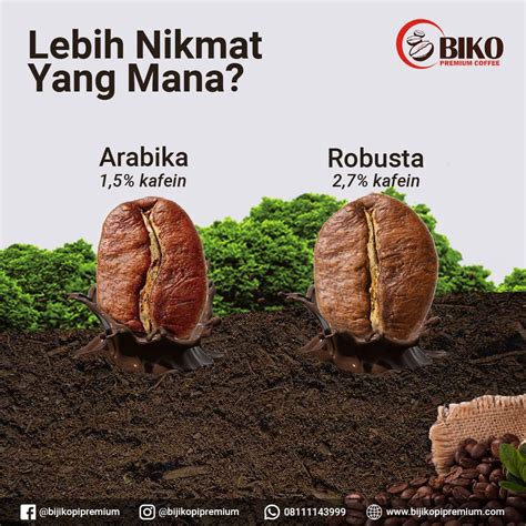 Lebih Nikmat Mana Kopi Robusta Atau Arabica BIKO Kopi Premium Indonesia