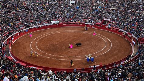 Le Grand Retour Des Corridas Au Mexique