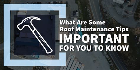 Essential Roof Maintenance Tips Protect Your Investment