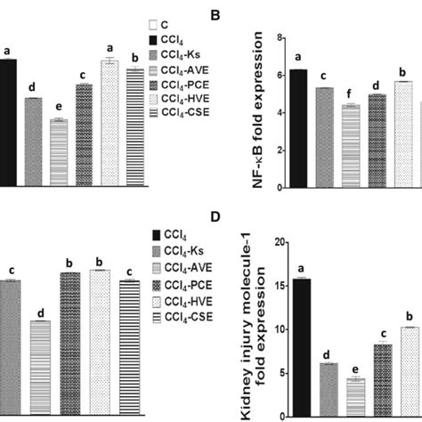 Effect Of The Studied Extracts On The Carbon Tetrachloride Ccl 4