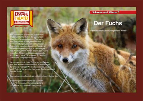 Der Fuchs Kamishibai Bildkarten Buch Hase Und Igel Verlag