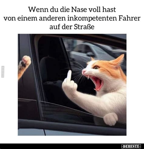 Neue Bilder Und Memes Nase Voll Lustig Kostenlos DEBESTE De