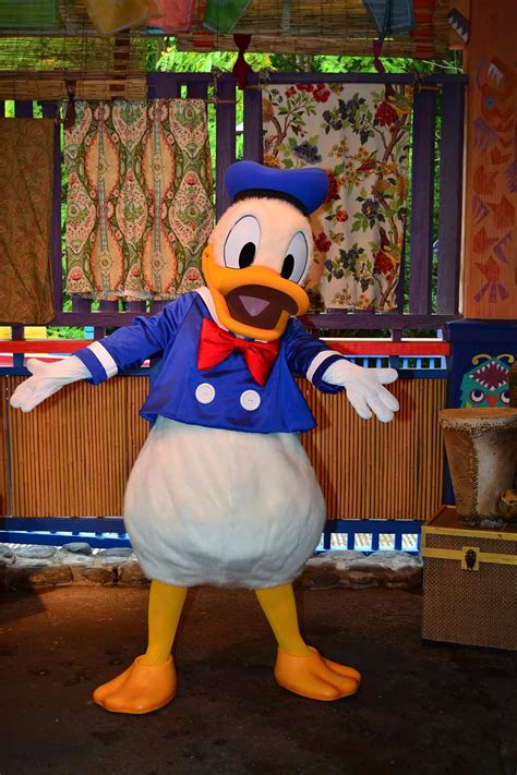 Daisy Duck And Donald Duck Meet And Greet At Animal Kingdoms Discovery