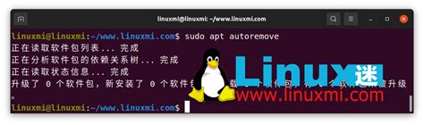 如何将 Ubuntu 升级到 22 04 LTS Jammy Jellyfish Linux迷