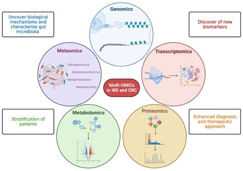 Inflammation Driven Colorectal Cancer Associated With Colitis