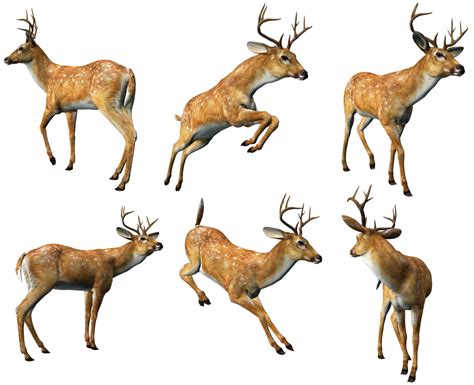 Deers Clipart 19 Free Cliparts Download Images On Clipground 2025