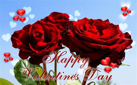 Red Roses for Valentine's Day