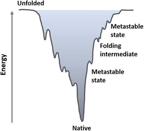 The Metastable States Of Proteins Ghosh Protein Science